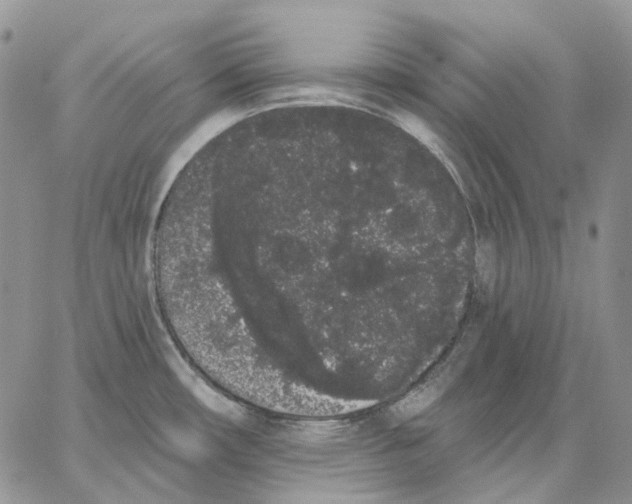 X0000062841482200602031549