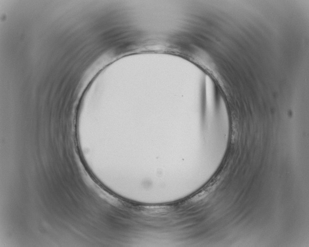 X0000062841483200602031549