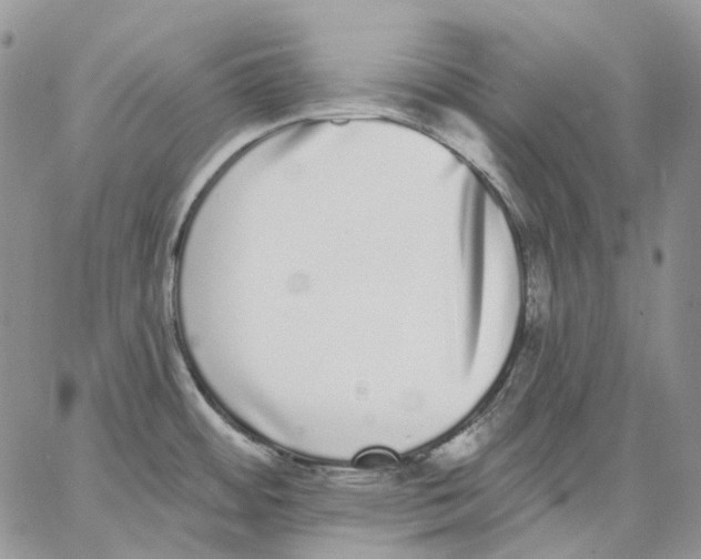 X0000062841484200602031549