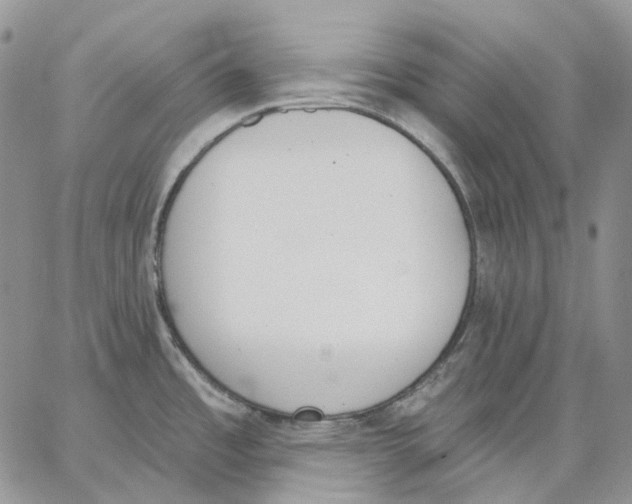 X0000062841485200602031549