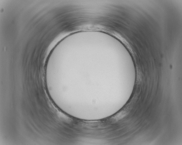 X0000062841486200602031549