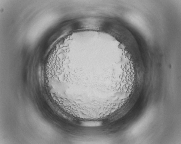 X0000062841487200602031549