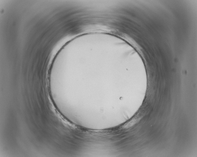 X0000062841488200602031549