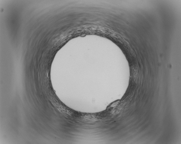 X0000062841489200602031549