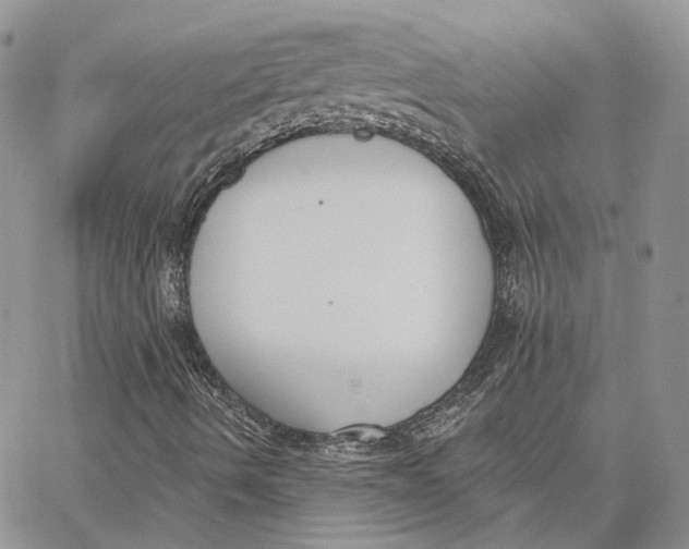 X0000062841490200602031549