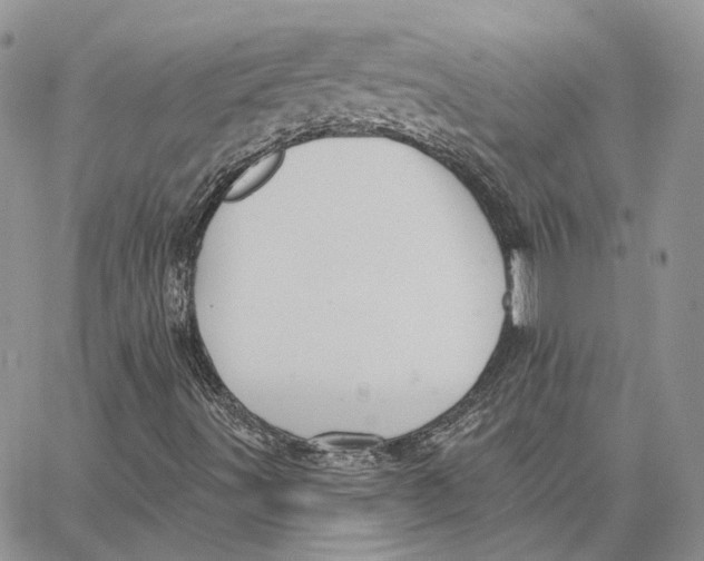 X0000062841491200602031549