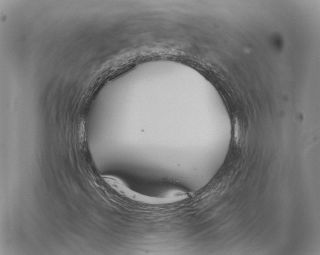 X0000062841492200602031549