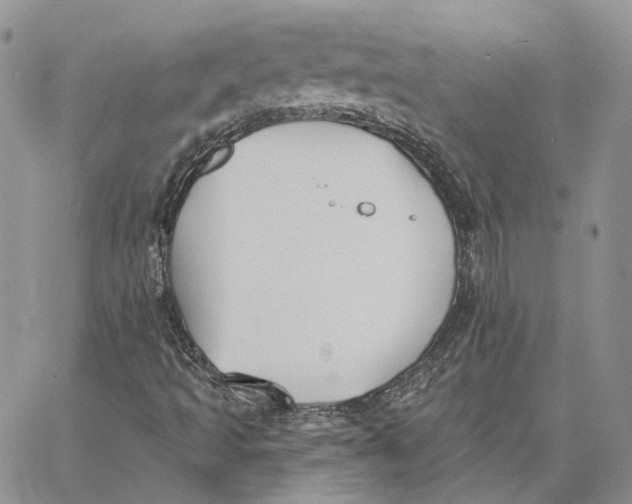 X0000062841493200602031549