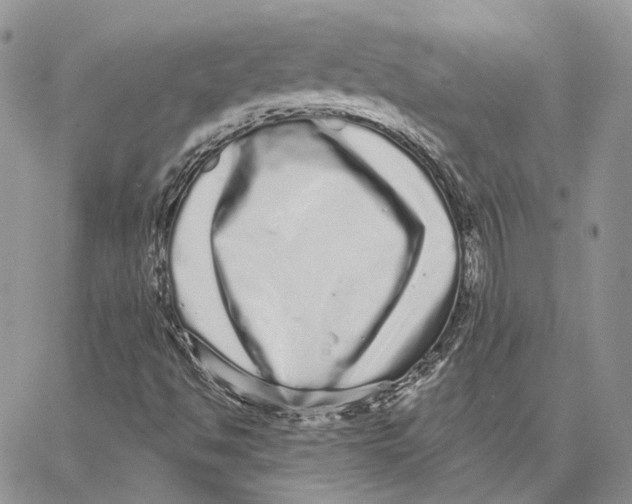 X0000062841494200602031549