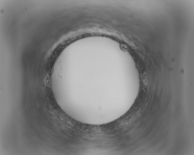 X0000062841495200602031549