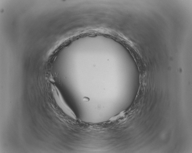 X0000062841496200602031549