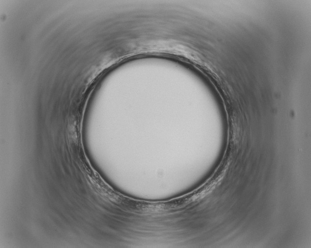 X0000062841497200602031549