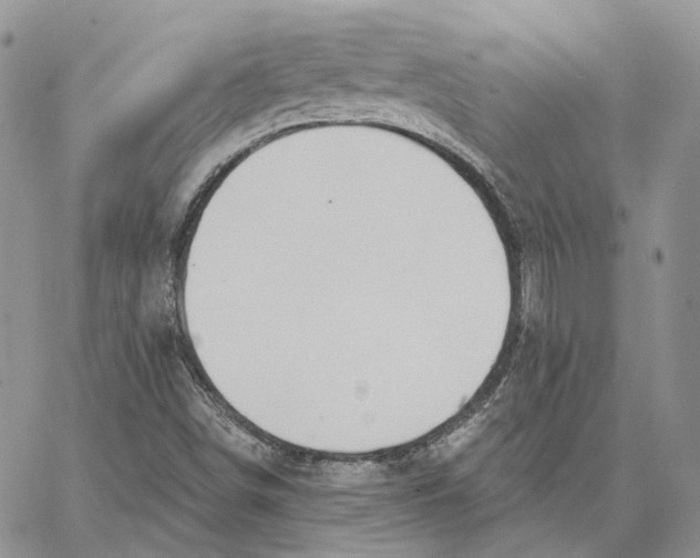 X0000062841498200602031549