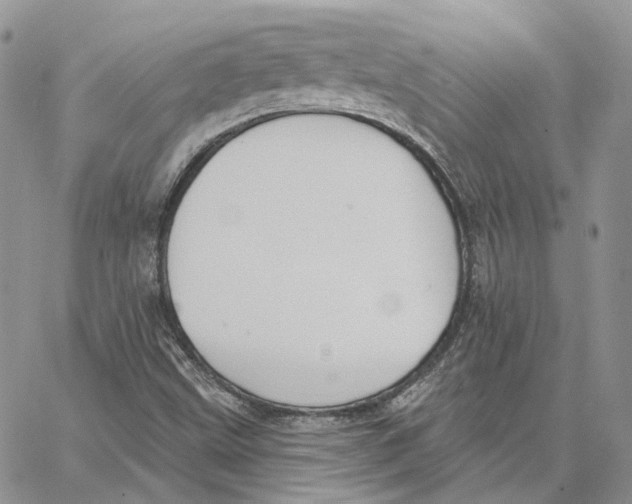 X0000062841499200602031549