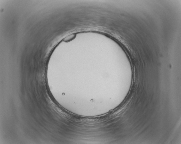 X0000062841500200602031549