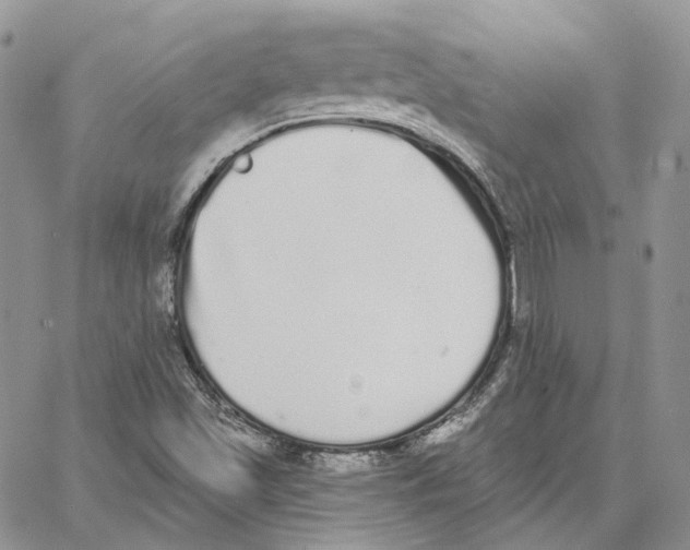 X0000062841501200602031549