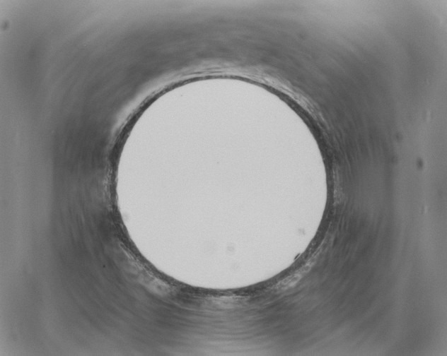 X0000062841502200602031549