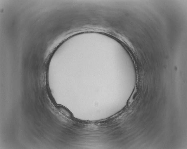 X0000062841504200602031549