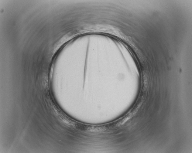 X0000062841505200602031549