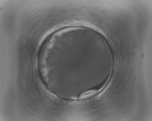 X0000062841506200602031549