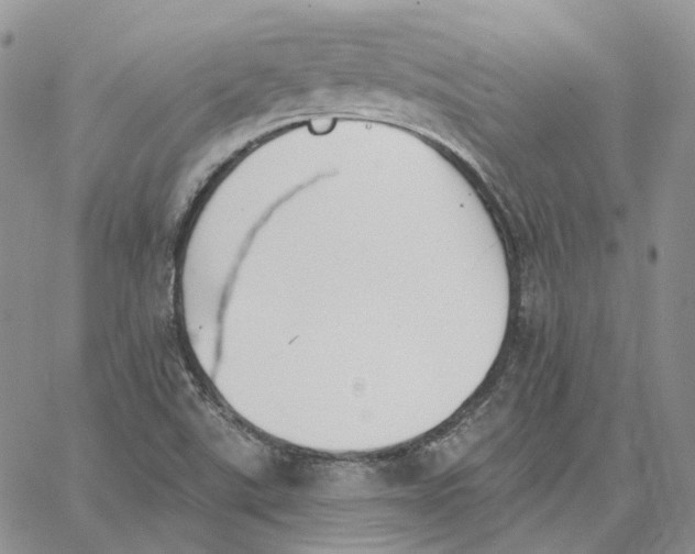 X0000062841507200602031549