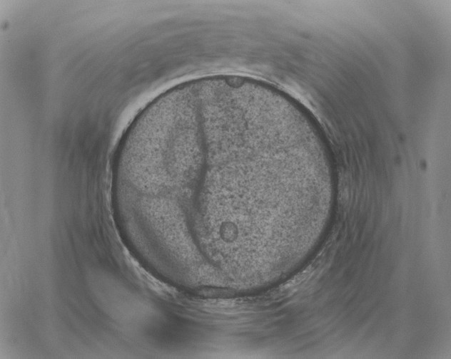 X0000062841508200602031549