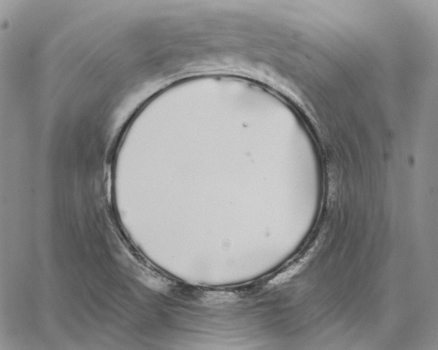 X0000062841509200602031549