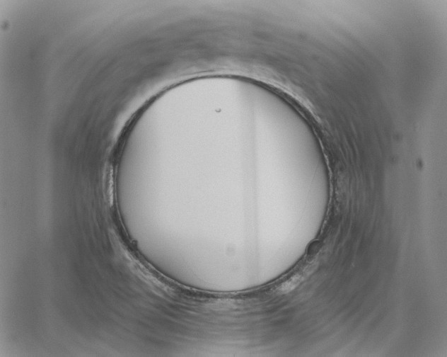 X0000062841510200602031549