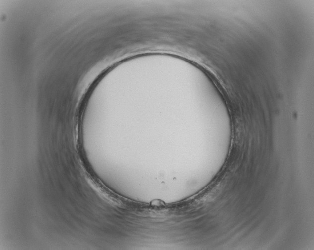 X0000062841511200602031549