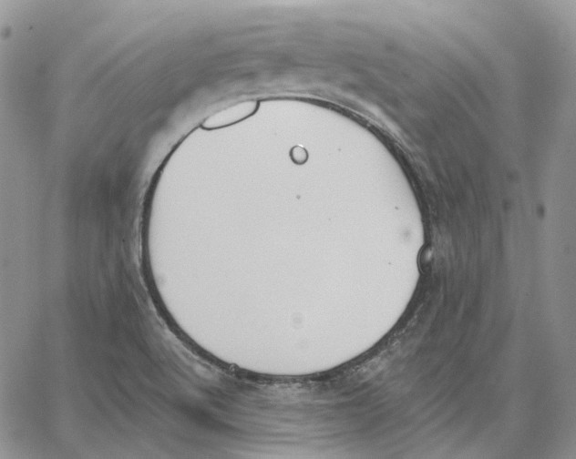 X0000062841512200602031549