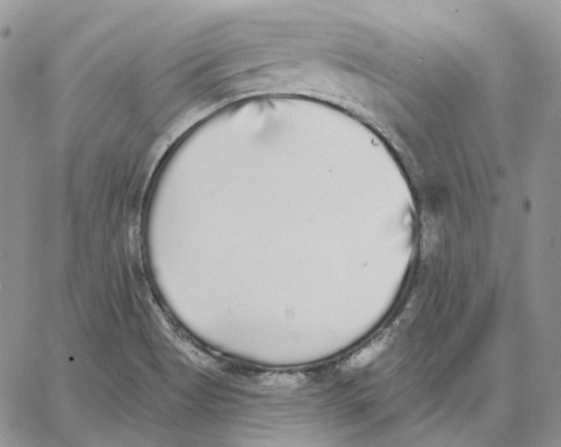 X0000062841513200602031549