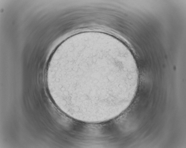 X0000062841514200602031549