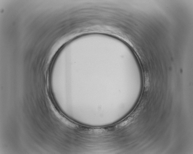 X0000062841515200602031549