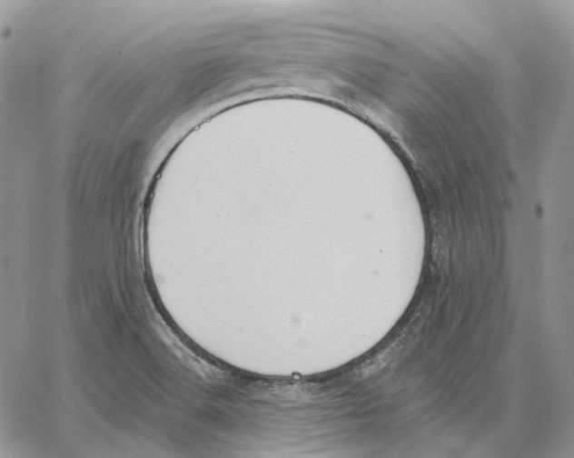 X0000062841516200602031549