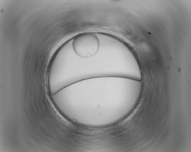 X0000062841517200602031549