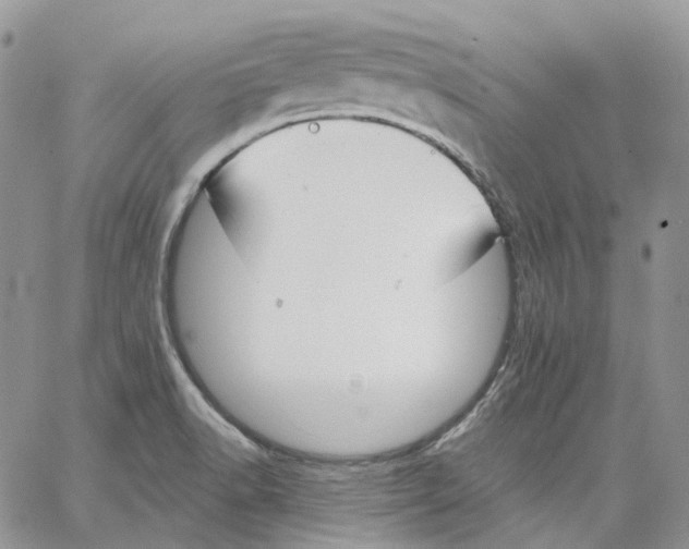 X0000062841518200602031549