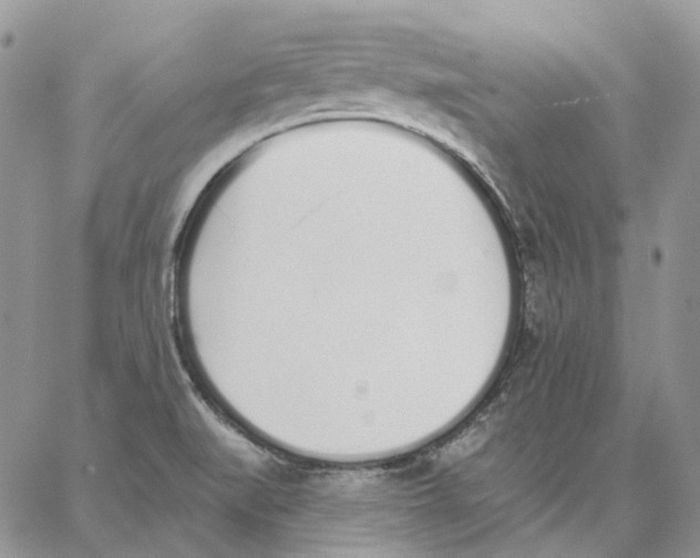 X0000062841519200602031549