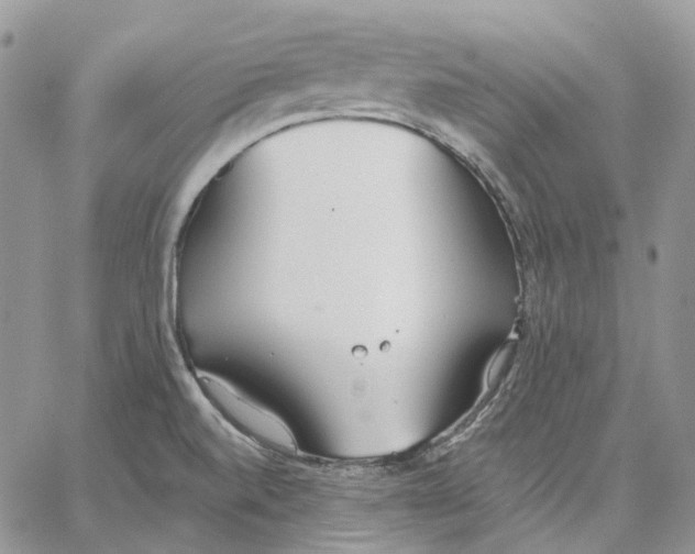 X0000062841520200602031549