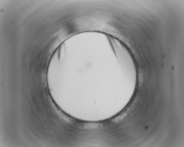 X0000062841521200602031549