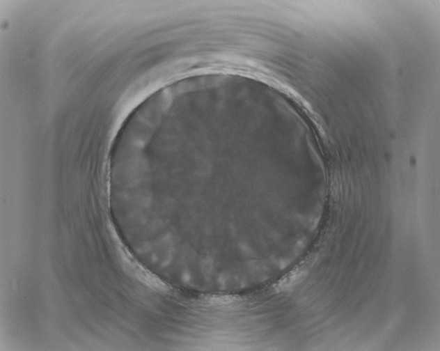 X0000062841522200602031549