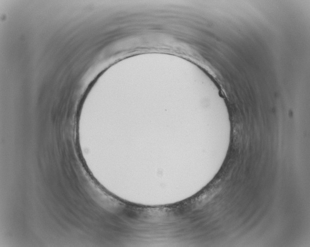 X0000062841523200602031549