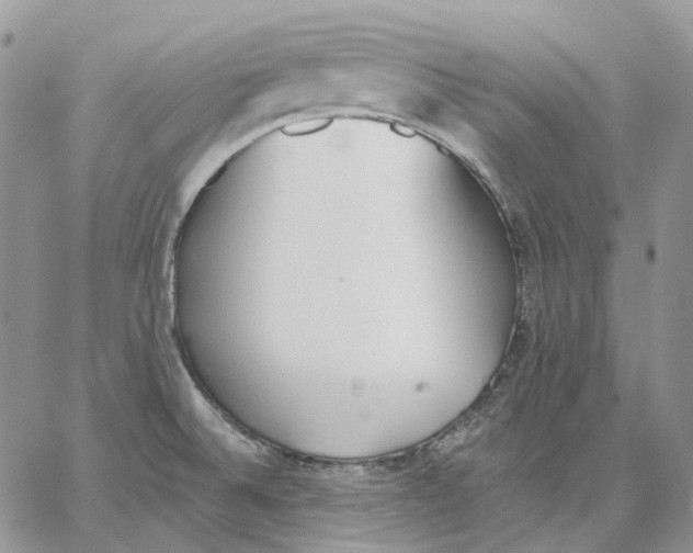 X0000062841524200602031549