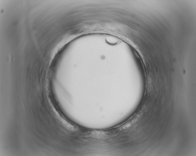 X0000062841525200602031549