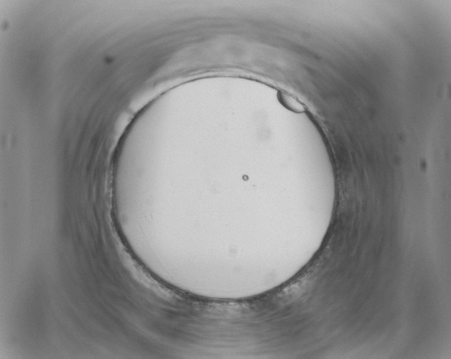 X0000062841526200602031549