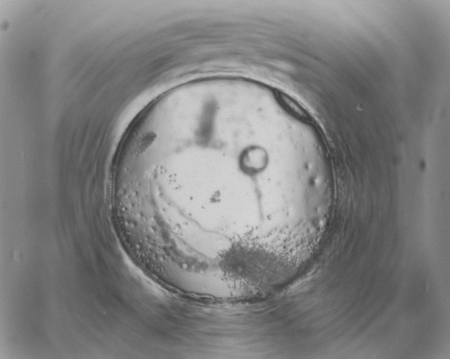 X0000062841527200602031549