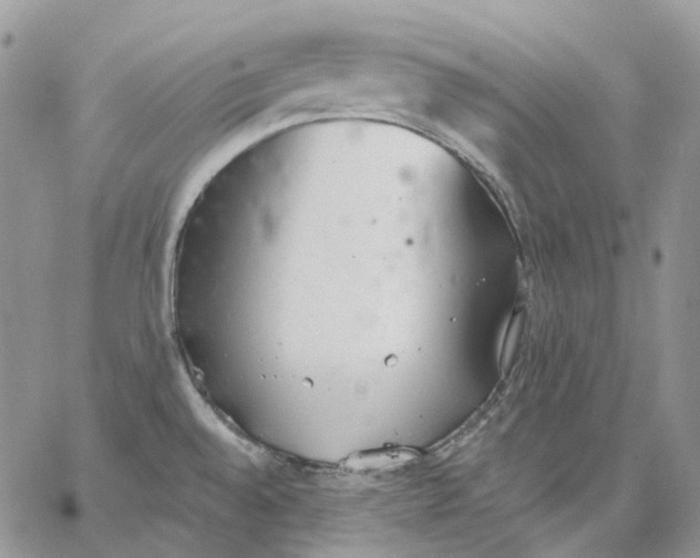 X0000062841528200602031549