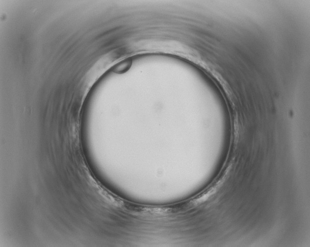 X0000062841529200602031549