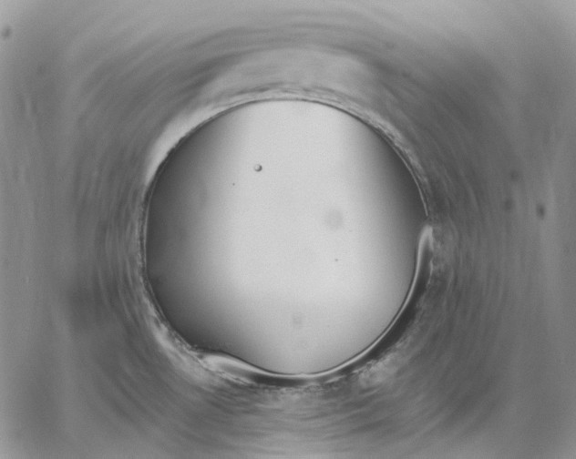 X0000062841530200602031549