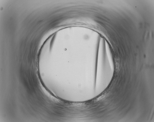 X0000062841531200602031549