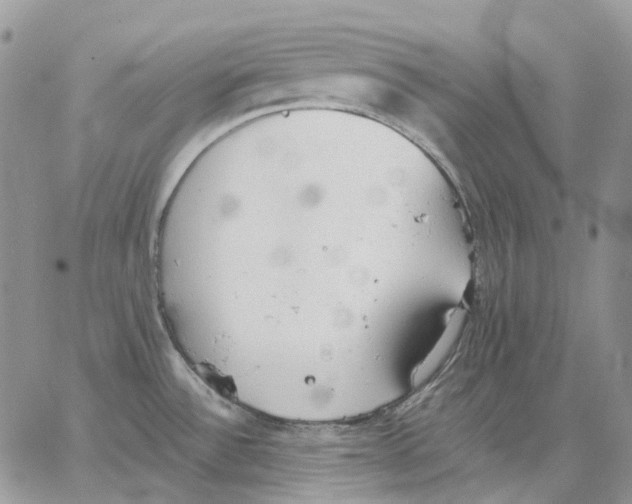 X0000062841532200602031549